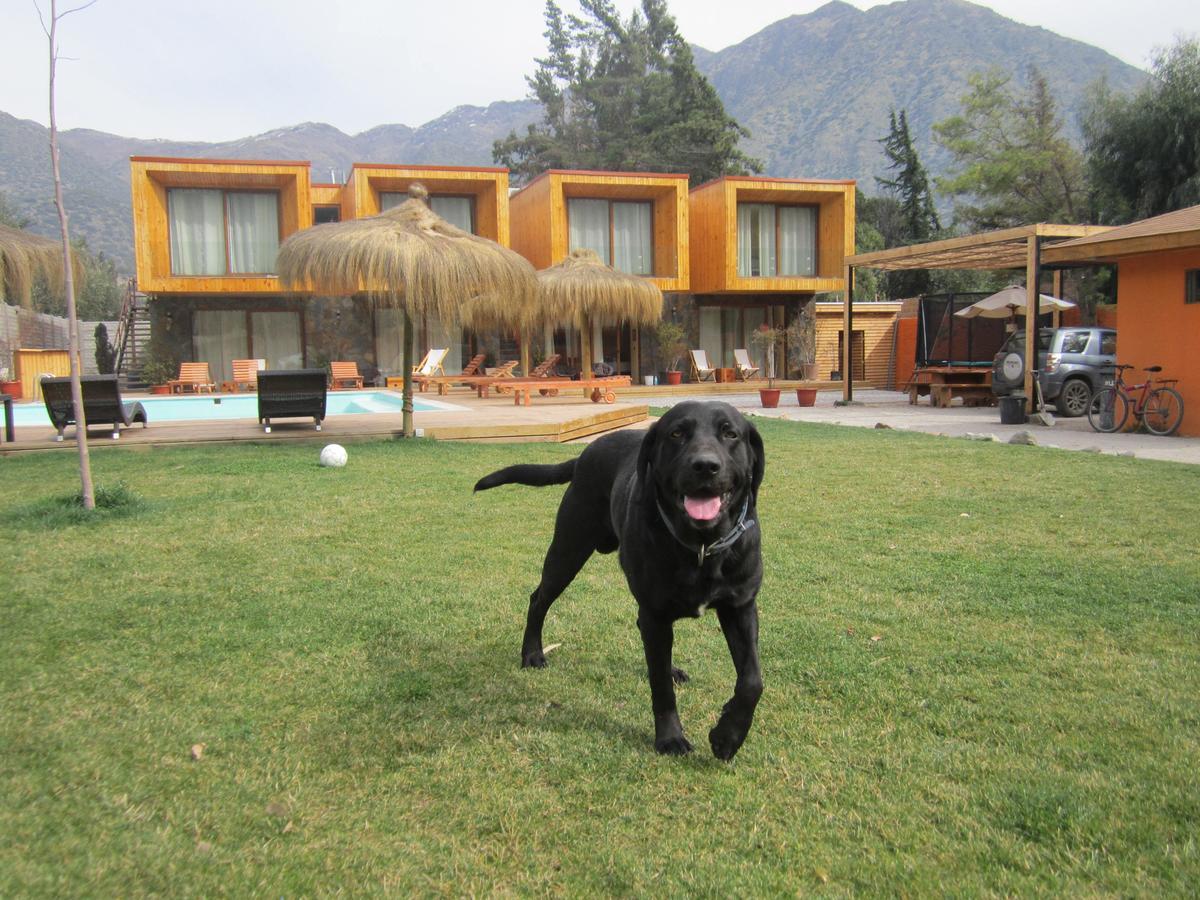 Cajon Del Maipo Lodge San Jose de Maipo Luaran gambar